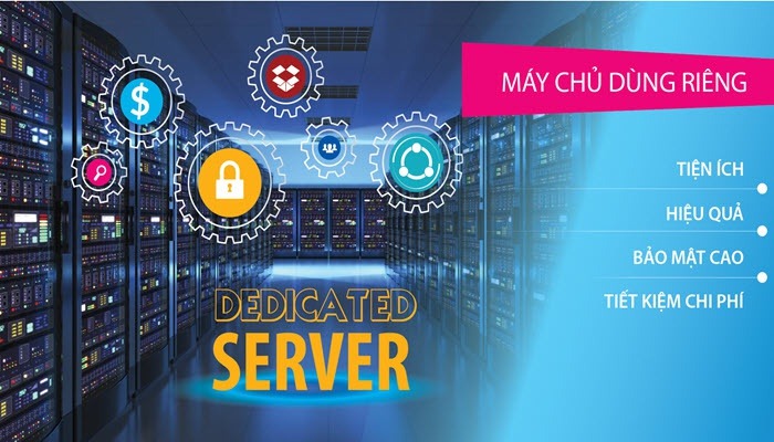 Dich Vụ Cho Thue May Chu (1)